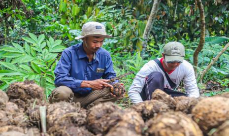 Kolaborasi Kampus Berdampak, Astra Dorong Komoditas Unggulan di Daerah