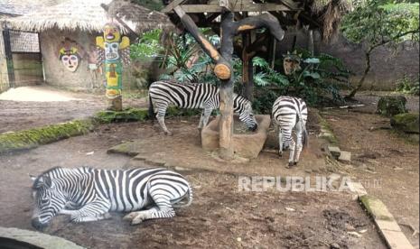 Menbud Dorong Museum Jadi Ruang Publik Edukatif dan Pusat Aktivitas Budaya